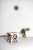 EVE05472_white_II.jpg
